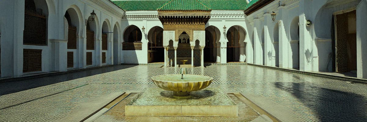 الدولة والسياسة